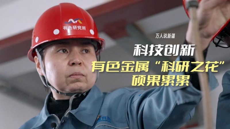 RPA实施公司优缺点对比